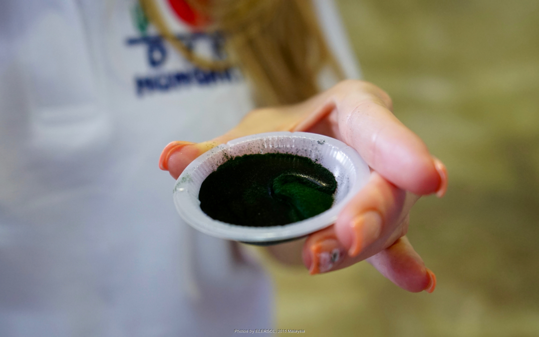 The spirulina